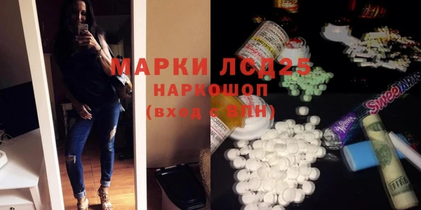индика Верхний Тагил