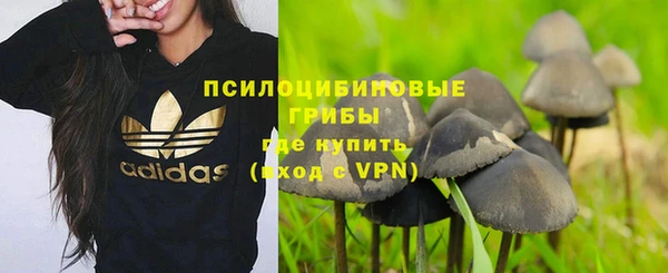 индика Верхний Тагил