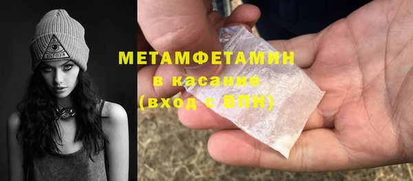 индика Верхний Тагил