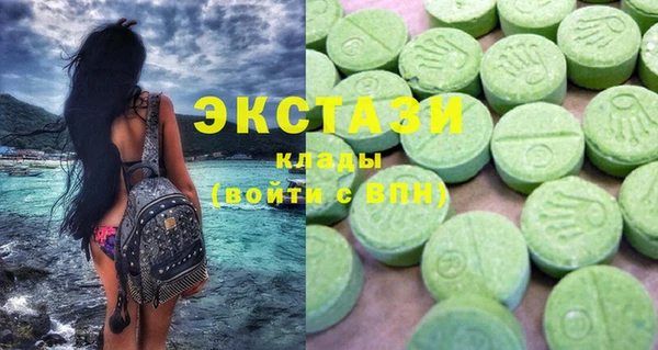 индика Верхний Тагил