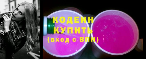 индика Верхний Тагил