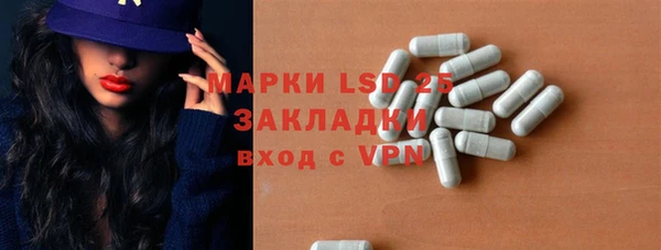 индика Верхний Тагил