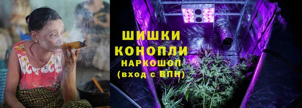 индика Верхний Тагил