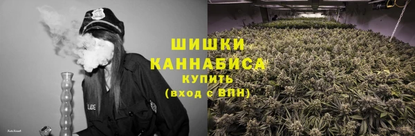 индика Верхний Тагил