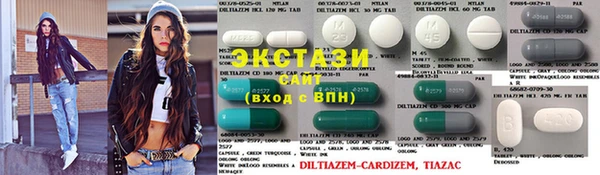 индика Верхний Тагил