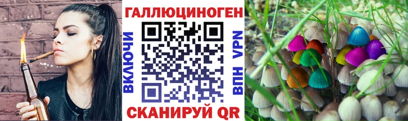 Галлюциногенные грибы Magic Shrooms  Купить закладки  Кунгур 